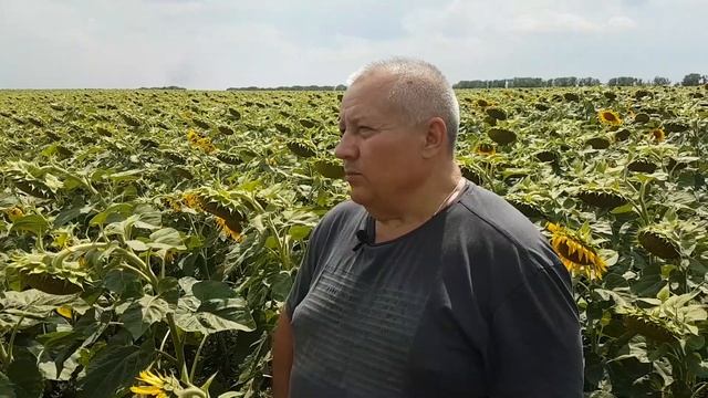 Посевной комплекс Партнер. ОТЗЫВ о сплошном посеве спустя 6 лет и тысячи гектаров! смотреть онлайн