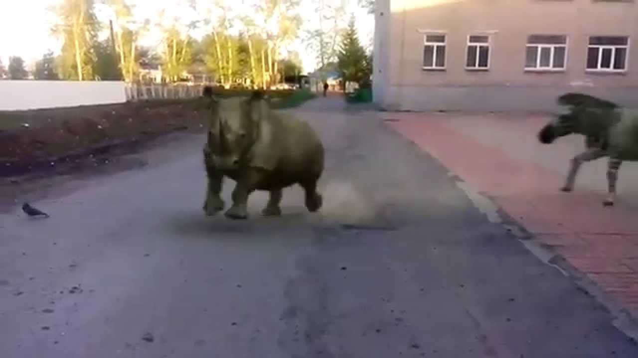 Северное, НСО, школа. Перемена !!! смотреть онлайн