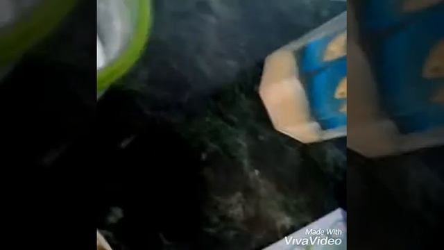 Делаем из невкусной сосиски в тесте делаем ходок! смотреть онлайн