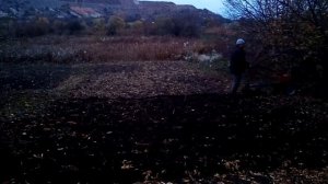 Настройка плуга на мотоблоке