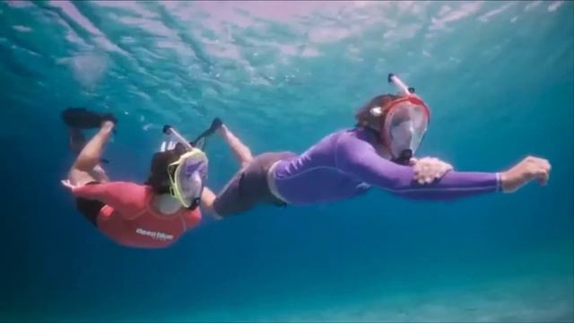Top 5 Best Full Face Snorkel Masks Review In 2023 смотреть онлайн