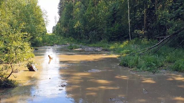 [OFF ROAD] - 03.07.22 Выезд "Оттуда не возвращаются" | Ranger Patrol Cherokee Niva / нива смотреть онлайн