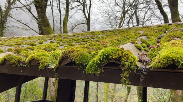 Ореховский водопад Сочи ВЕСНОЙ! смотреть онлайн