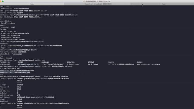 Vault: Running locally on Mac смотреть онлайн