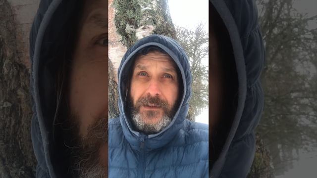 Работа и труд. Руский язык . Слова и смыслы смотреть онлайн