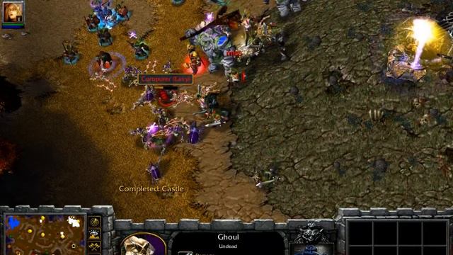 Warcraft 3 Race Gameplay - Scarlet Crusader & Night Elf Vs 3 Undead - Easy Custom смотреть онлайн