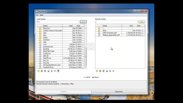 Using JSCAPE's AnyClient смотреть онлайн