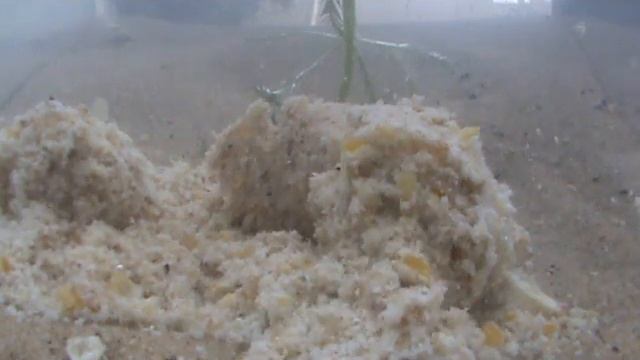 Nash Soluballs смотреть онлайн