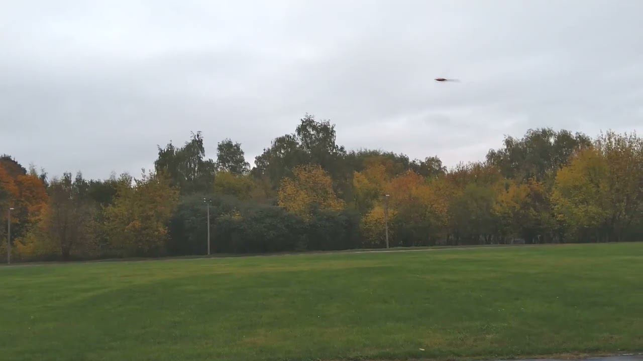 gaui x3 01.10.2022 смотреть онлайн