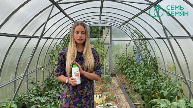 Лучшая защита от болезней растений! смотреть онлайн