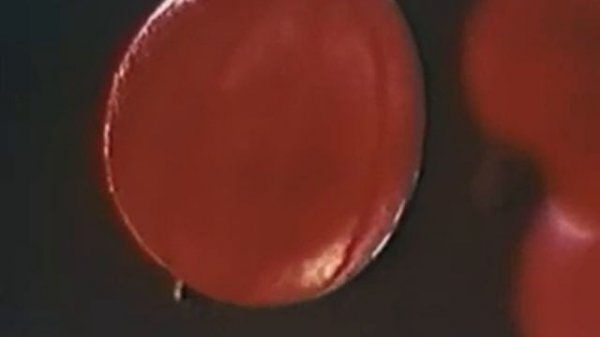 Уральская Вишера   Пермь, 1974