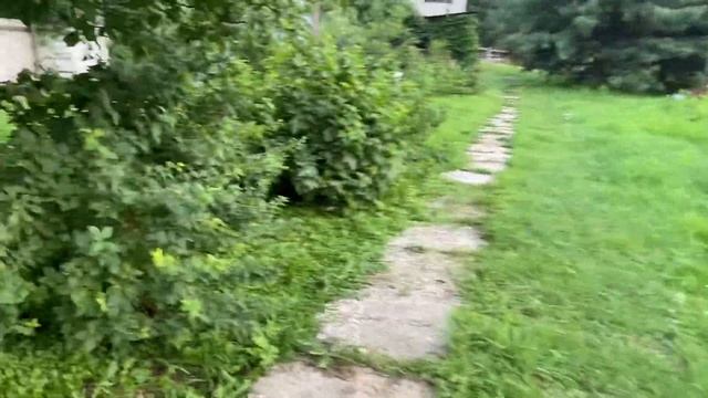 Наша дача//овощи и зелень с дачи// смотреть онлайн