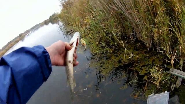Не клёвый день мы на рыбалке . смотреть онлайн