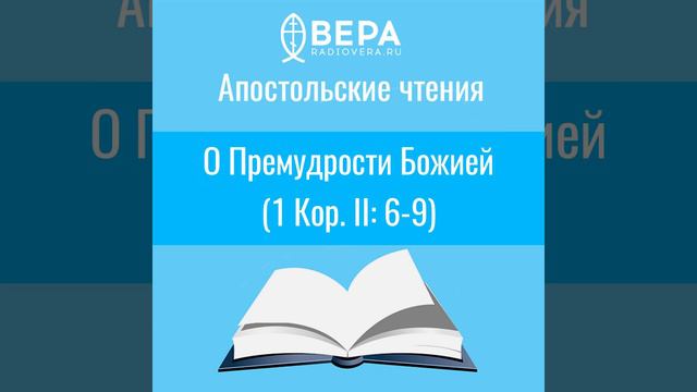Апостольские чтения. О Премудрости Божией смотреть онлайн