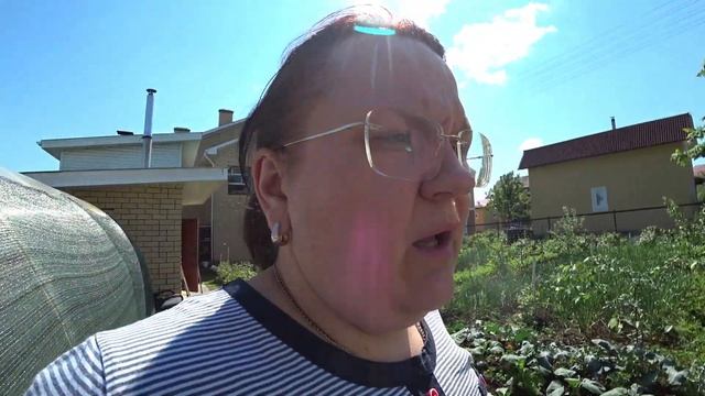 Размножение жимолости семенами смотреть онлайн