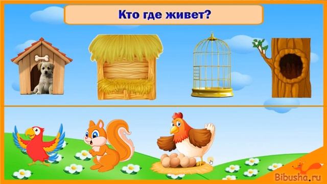 НАЙДИ СВОЙ ДОМИК | Кто где живёт? | Логическая игра | Развивающие мультики про животных смотреть онлайн