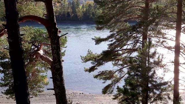 От Автора. Будущее книги ИСТАТ. смотреть онлайн