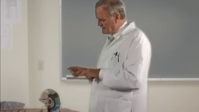 The Brain as explained by John Cleese смотреть онлайн
