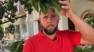 Плюсы и Минусы Северного Кипра / Северный Кипр