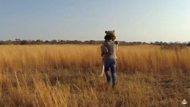 НЕЙМОВІРНА ДРУЖБА МІЖ ЛЮДЬМИ ТА ДИКИМИ ТВАРИНАМИ // ЛЮДИНА І ТВАРИНА - ДИВОВИЖНІ ТА ЦІКАВІ ІСТОРІЇ