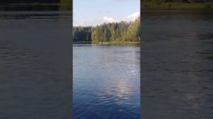 ПВХ лодка и мотор болотоход