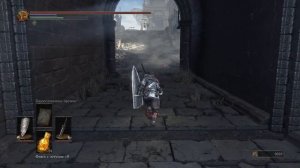 Dark Souls 3 - прохождение/гайд [26] - Пик Древних Драконов / Archdragon Peak