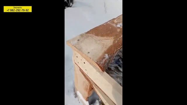 Первые впечатления от получения Мотоснегоката DraXter C380 смотреть онлайн