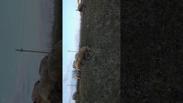 12 марта 2023 г. (1).mp4 смотреть онлайн