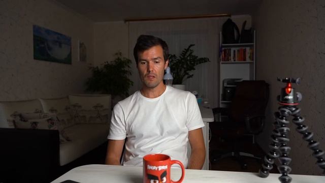 Сова с книгой как символ мудрости и познания / В сквере на Молодежной / Ежедневный влог - Daily vlo смотреть онлайн