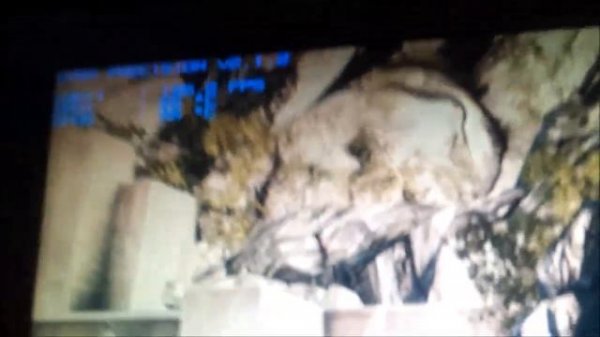 BF3 With GTX 580 Classified SLI