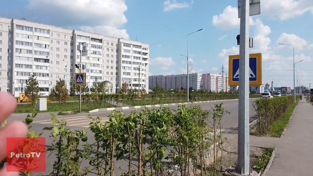 САМЫЕ ОПАСНЫЕ ПЕШЕХОДНЫЕ ПЕРЕХОДЫ ПЕТРОПАВЛОВСКА смотреть онлайн