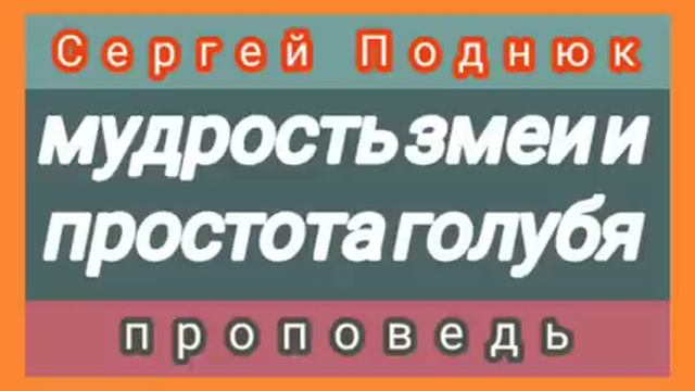 МУДРОСТЬ ЗМЕИ И ПРОСТОТА ГОЛУБЯ (Сергей Поднюк, проповедь). смотреть онлайн