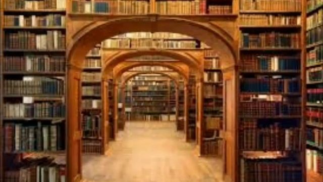 Всё люди как книги || Стихотворение (Михайла Жванецкого) || Гача лайф || Adolla || смотреть онлайн