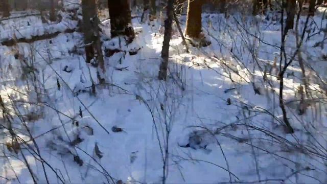 Соболь, вторая проверка, сезон 2020 - 2021 смотреть онлайн