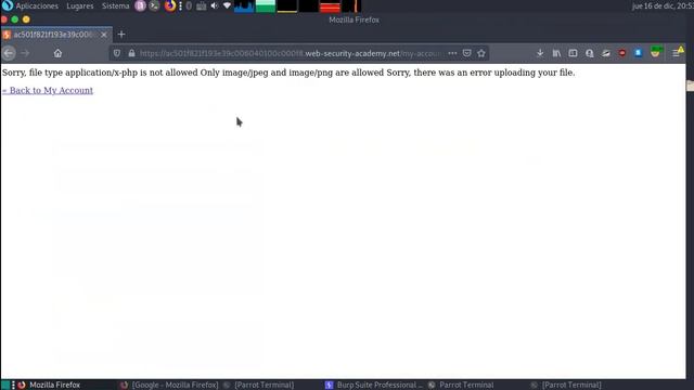 Web shell upload via Content-Type restriction bypass смотреть онлайн