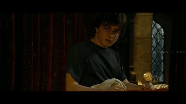 Harry Potter 4 -The Goblet of Fire Explained in Malayalam - Part 01 | Harry Potter Malayalam #09 смотреть онлайн