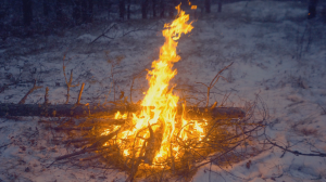 КВ-эфир за городом. Зима. Лес. Костёр. Приёмник Belka-DX и короткие волны.