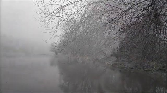 Иосиф Бродский / Сонет к зеркалу смотреть онлайн