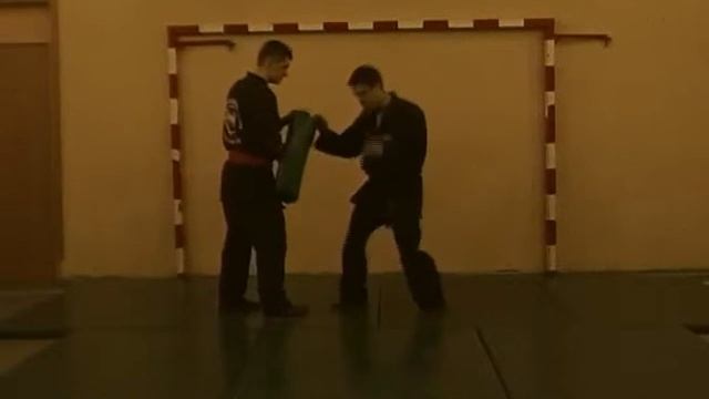 КЛУБ РУКОПАШНОГО БОЯ ВИТЯЗЬ 9 разряд ч14 удар коленом вперед вверх смотреть онлайн