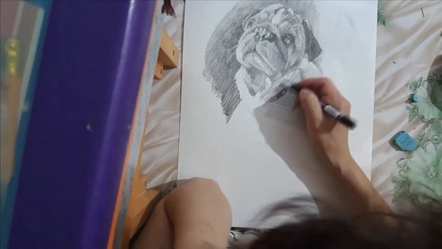 Рисую карандашом/ Мопс во всей красе смотреть онлайн