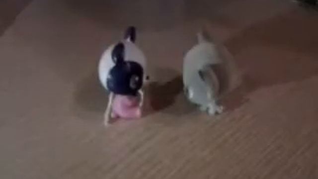 Мультик про панду и кошку смотреть онлайн
