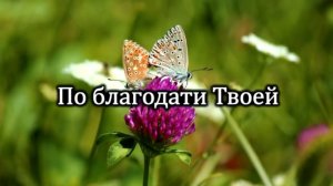 По благодати Твоей | Источник хвалы № 130  | Караоке плюс | Христианские песни | Гимны надежды