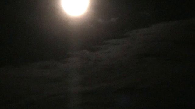 В весеннем лесу1 смотреть онлайн