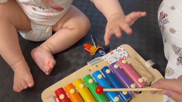 Калининградский зоопарк/ Музыкальные игрушки/ Лезут зубы смотреть онлайн