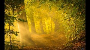 Август  , Белла  Ахмадулина ,Советская Поэзия ,   читает Павел Беседин