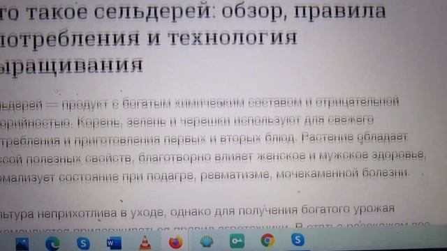 Полосатая жизнь и суп из пакетов. 9 декабря