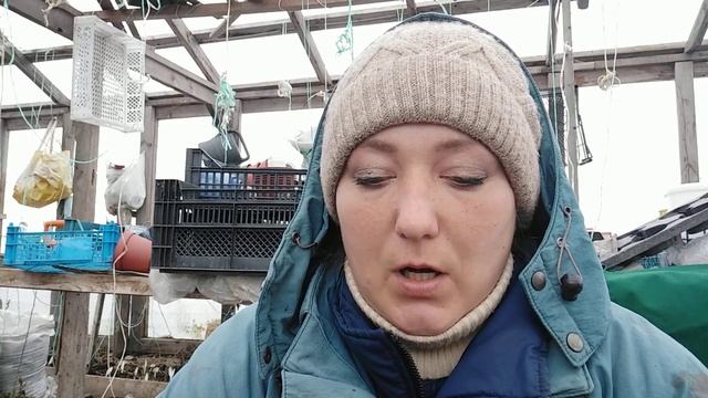 Размножение лилии смотреть онлайн