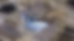 Обзор AstraLux Over Pro 720