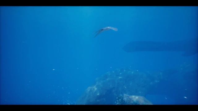 Imagining Ark Ascended in Unreal Engine 5 - Dire Waters смотреть онлайн