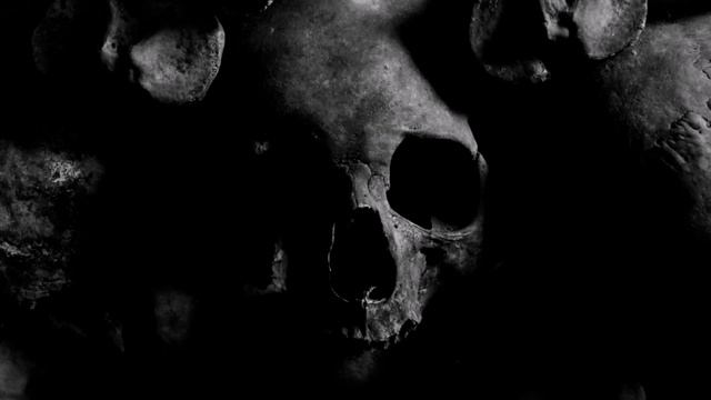 100% MIDI & VST - Life We know Metal Song using Shreddage 3 Hydra, GGD OKW Metal & EZ Bass смотреть онлайн